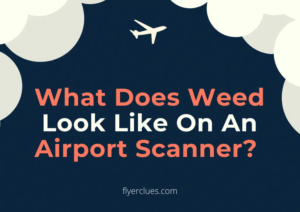What Does Weed Look Like On An Airport Scanner